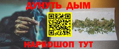 шишки Коммунар