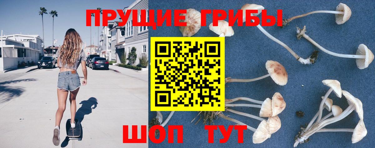 Псилоцибиновые грибы мицелий Красноармейск